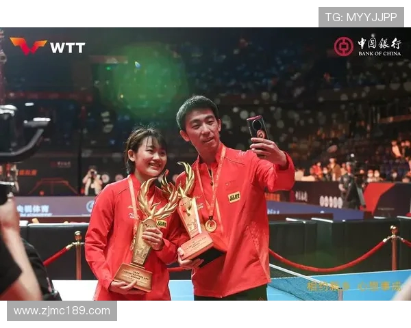 成都排球队展现卓越团队协作精神大满贯点评分析其成功之道